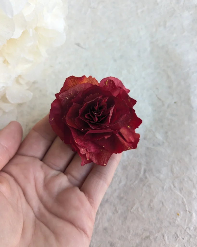 Pince crocodile hortensia rouge doré, vue d’ensemble